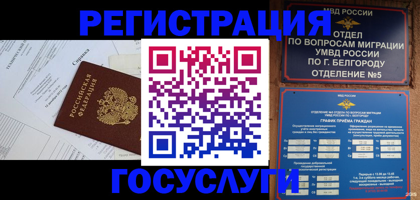 временная прописка в Жуковском